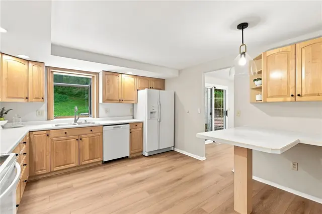1001 Fassinger Lane gallery image 38