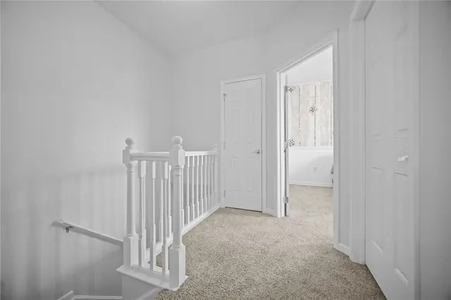 1005 Sonie Drive gallery image 39