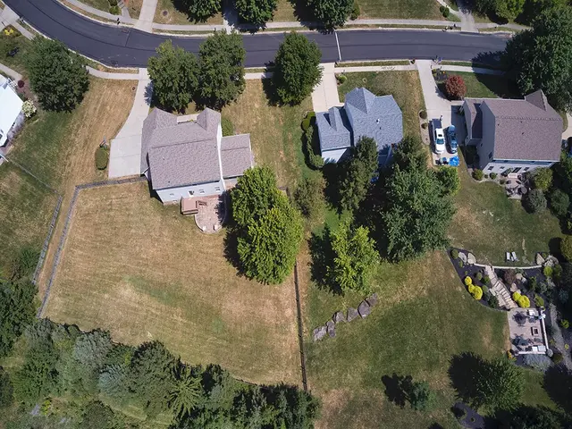 1026 S Lake Dr gallery image 2