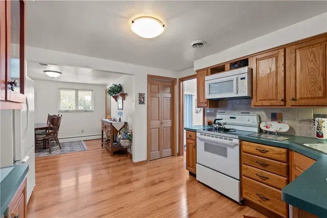 103 Mayer Dr. gallery image 30