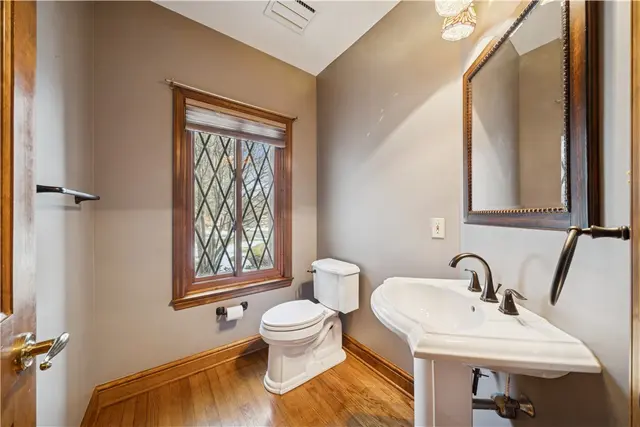 10484 Olde Villa Dr gallery image 14