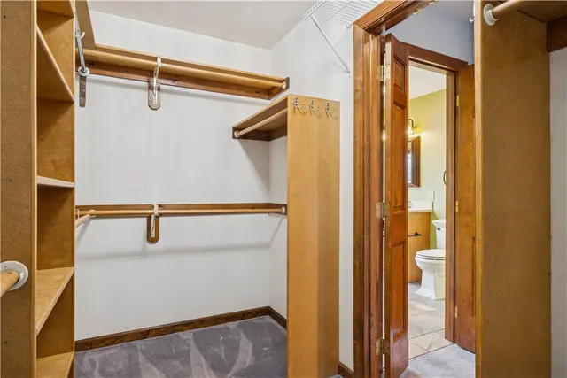 10484 Olde Villa Dr gallery image 35