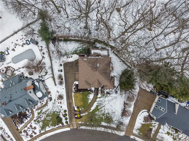 10484 Olde Villa Dr gallery image 50
