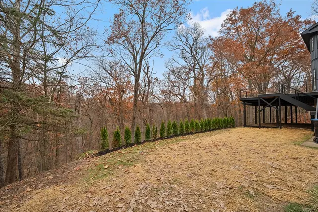 10492 Olde Villa Dr gallery image 12