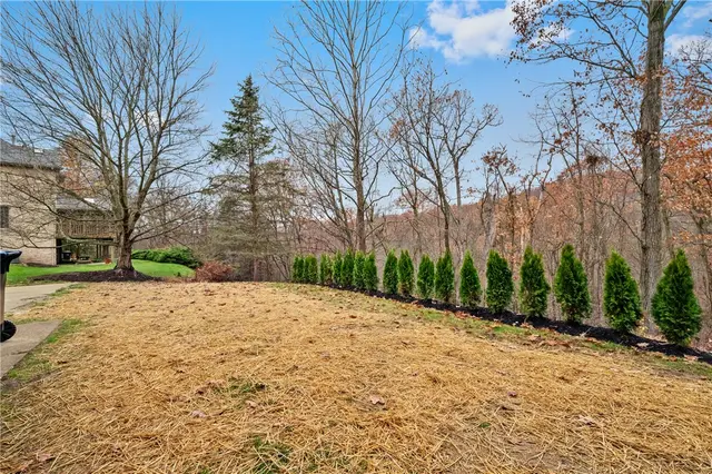 10492 Olde Villa Dr gallery image 23