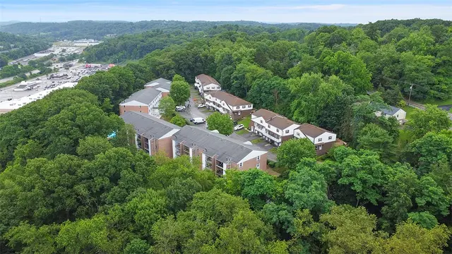 105 Camelot Dr gallery image 19