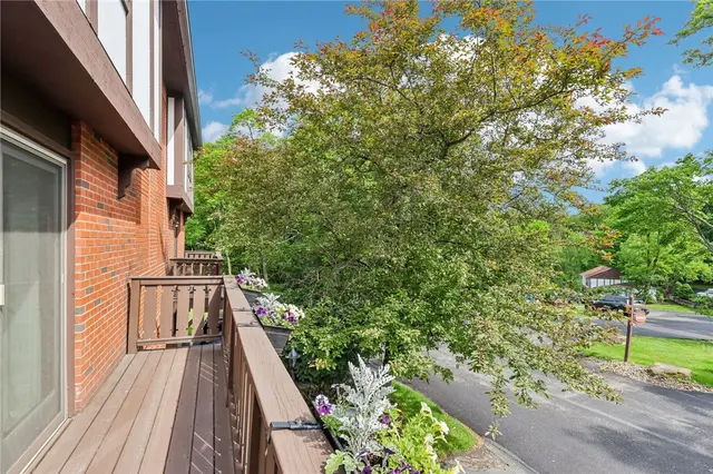 109 Forest Edge Drive gallery image 16