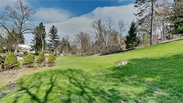 1139 Judy Ann Pl. gallery image 22