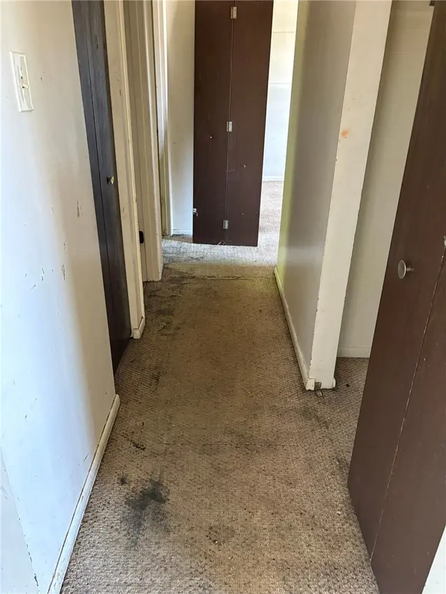 114 Opal Ct gallery image 19
