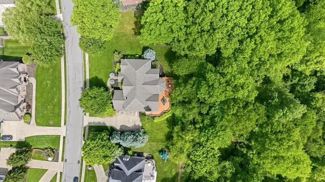 117 Lyndhurst Cir gallery image 22