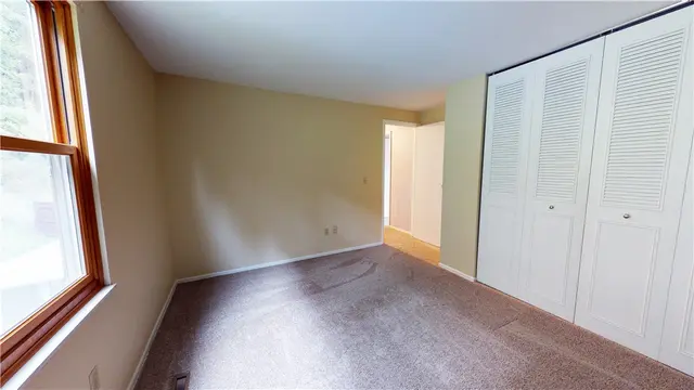 127 Lingay Drive gallery image 17