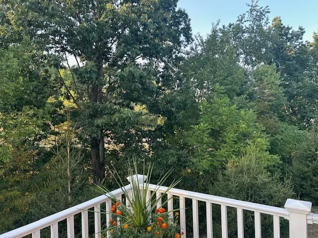 1301 Shinnecock Ct gallery image 20
