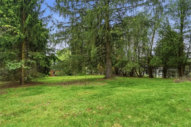 131 Manor Rd gallery image 8