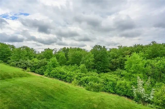 132 Bellefield Court gallery image 20