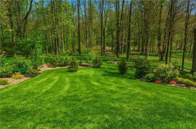 133 Hunter Drive gallery image 39
