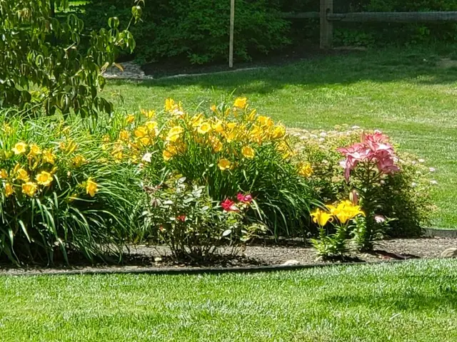 144 Fox Run Rd gallery image 28