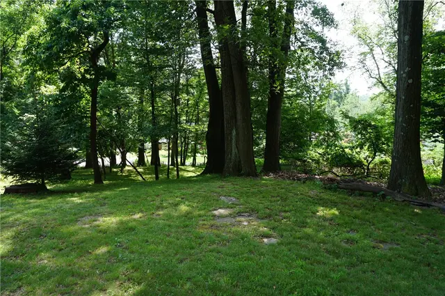 149 Ridgewood Road gallery image 11