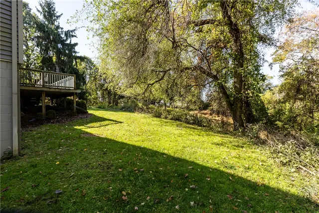 1572 Panno Ln gallery image 25