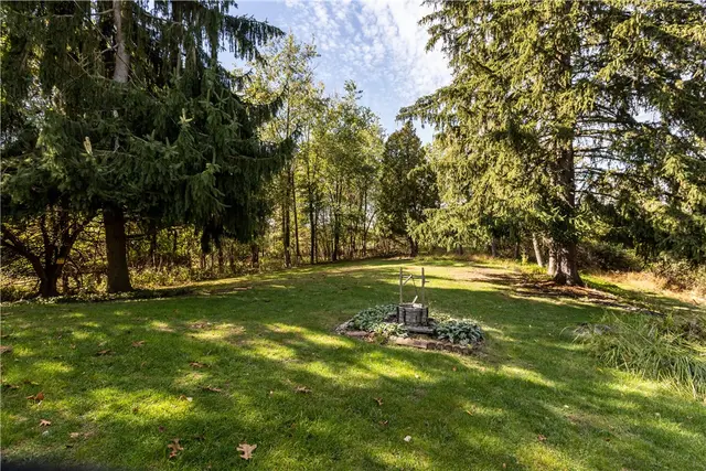 1572 Panno Ln gallery image 27