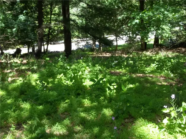 162 Richmond Cir gallery image 32