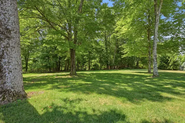 201 Crawford Court gallery image 43