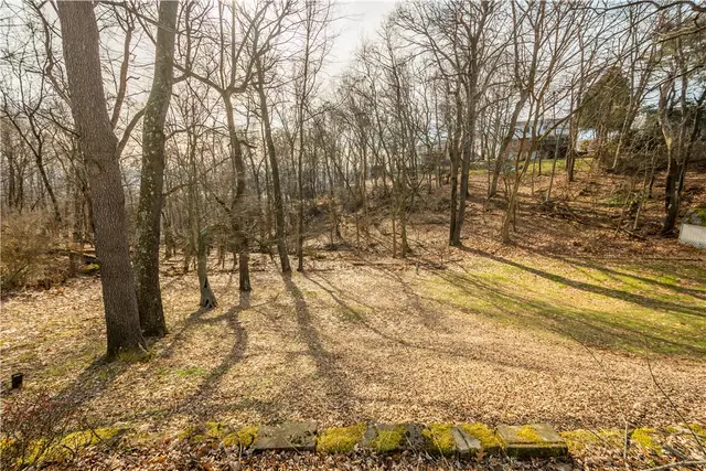 201 Kenney Dr gallery image 28