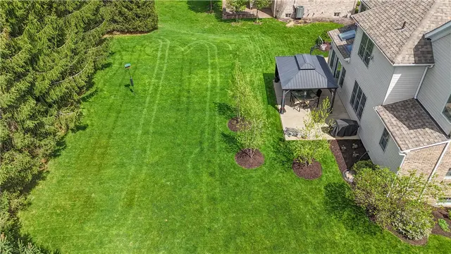 2019 Condor Lane gallery image 11