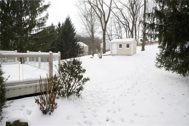 203 Chadwick Trail gallery image 6