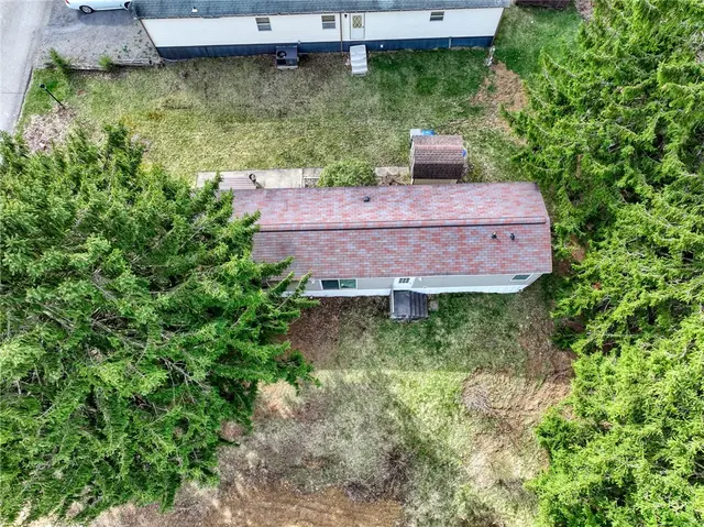 203 Forest Dr gallery image 20