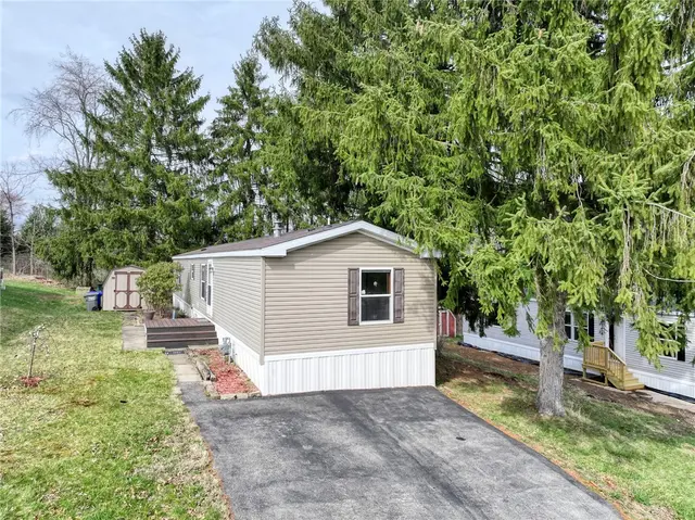 203 Forest Dr gallery image 25