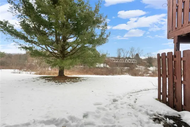 203 Woodhaven Dr gallery image 48