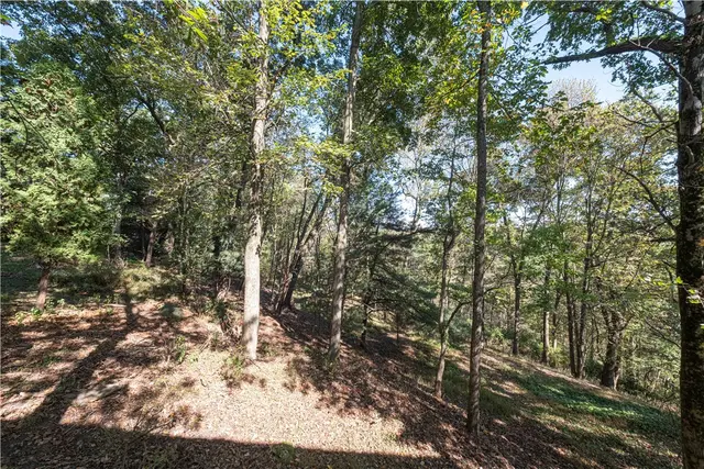 204 Woodbury Ct gallery image 45