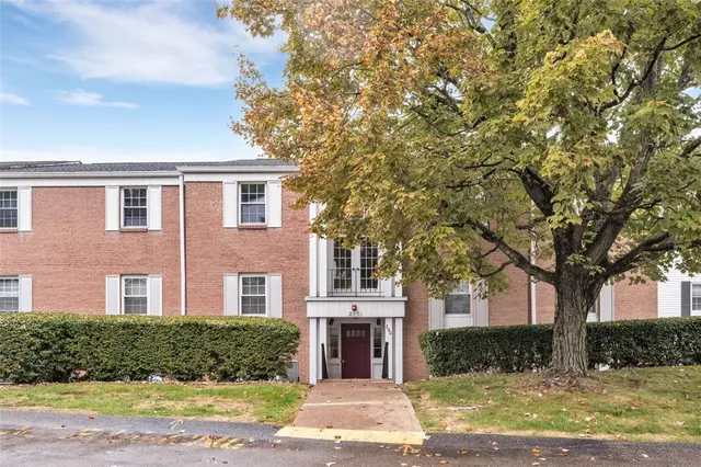 205 Camelot