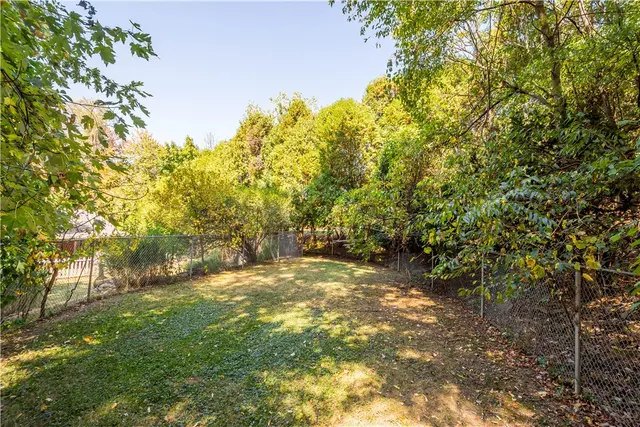 206 Hillendale Rd gallery image 20
