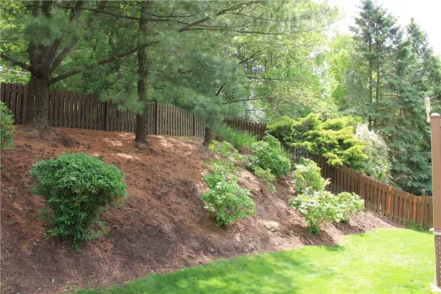 212 Scotch Pine Ct gallery image 11