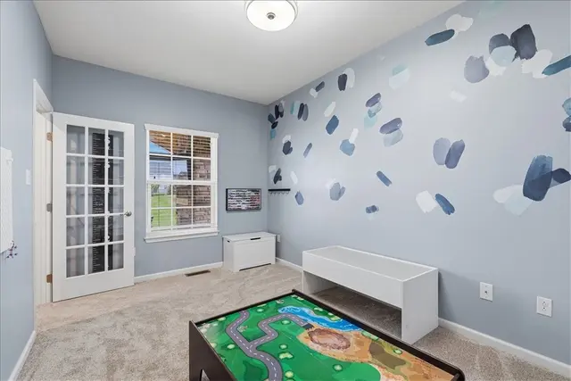 213 Overlook Dr gallery image 19