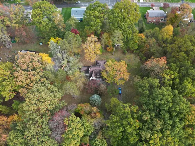 2294 Clearvue Rd gallery image 17