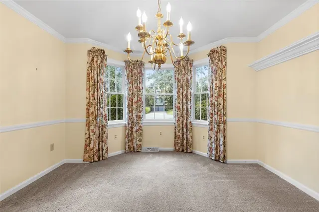 2294 Saddle Dr gallery image 12