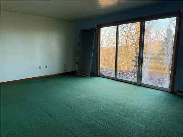 233 Horseshoe Dr gallery image 16