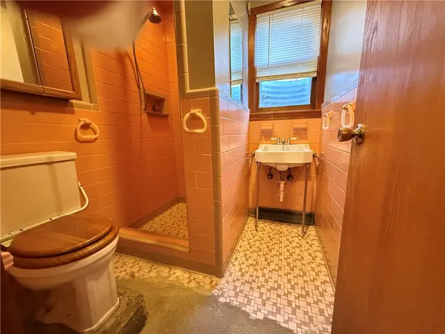 233 Horseshoe Dr gallery image 18