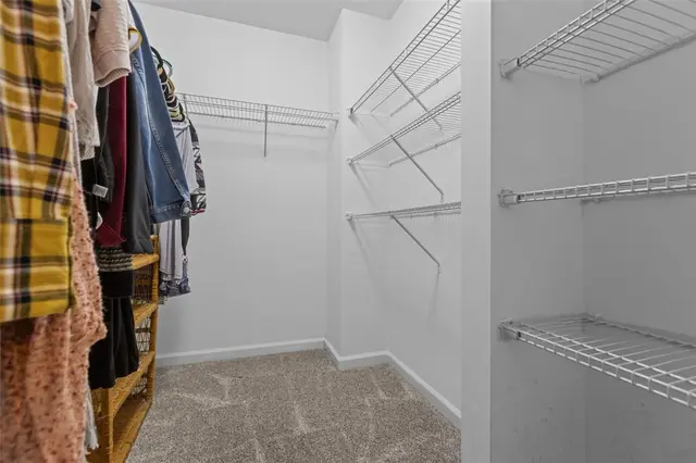 236 Thornapple Ln gallery image 22