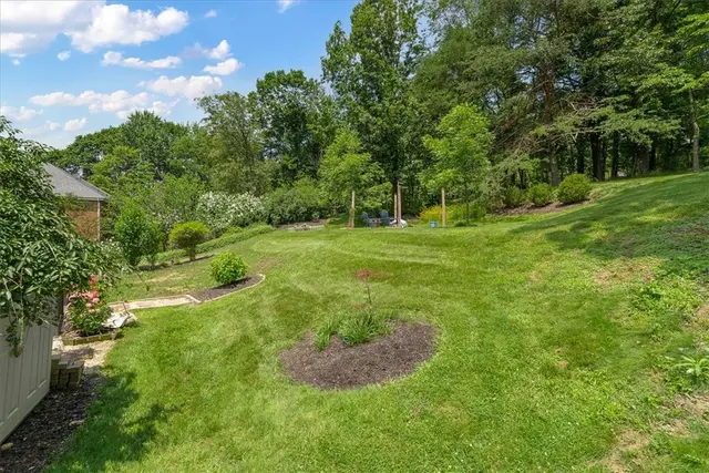 2403 Ramblewood Dr gallery image 48
