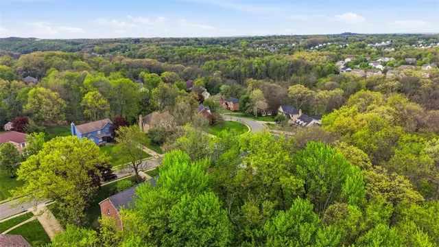 2436 Wedgewood Dr gallery image 10