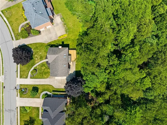 2457 Dogwood Dr gallery image 25