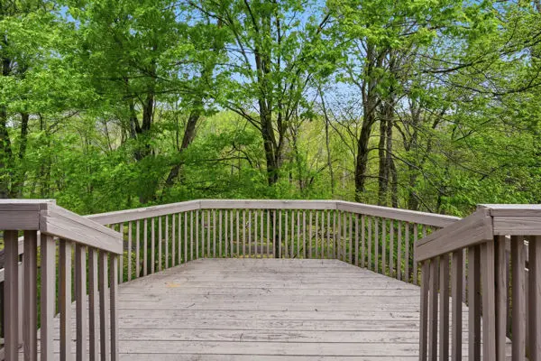 2493 Elkridge Drive DRIVE gallery image 7