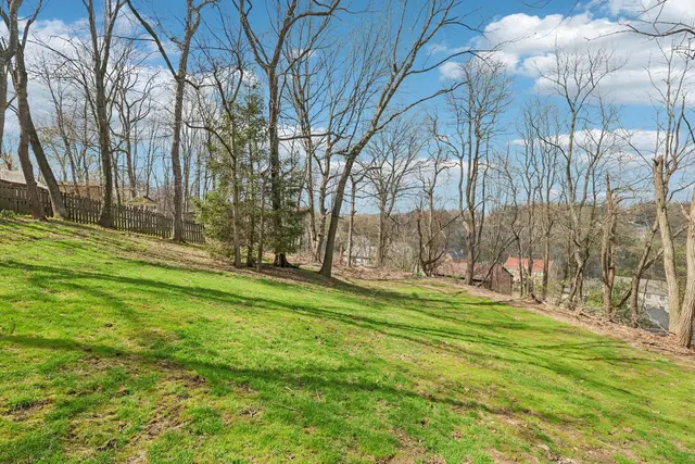 2519 Lindenwood DRIVE gallery image 39