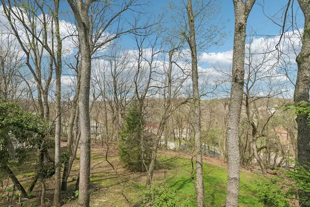 2519 Lindenwood DRIVE gallery image 40