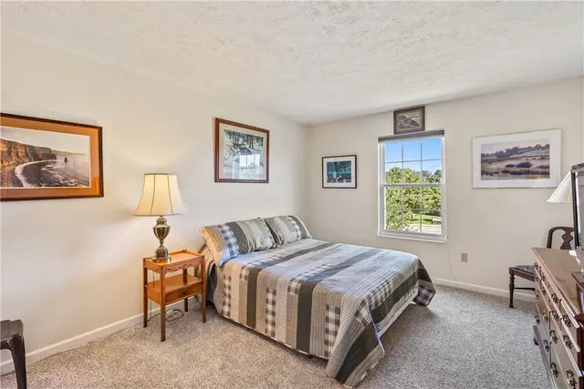 252 Huckleberry Ct gallery image 20