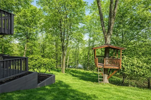 2529 Lindenwood Dr gallery image 43