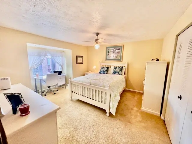 264 Elm Ct gallery image 13